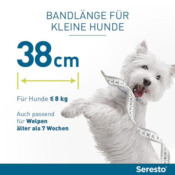 SERESTO 1,25g + 0,56g Halsband für Hunde bis 8kg