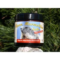 ALPEN MURMELTIER Salbe
