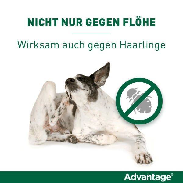 ADVANTAGE 250 Lösung f.Hunde 10-25 kg