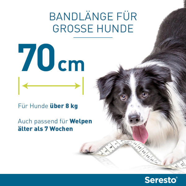 SERESTO 4,50g + 2,03g Halsband für Hunde ab 8kg