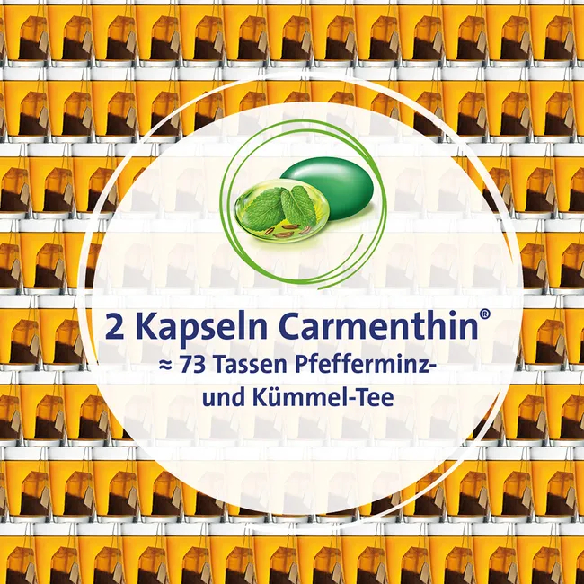CARMENTHIN bei Verdauungsstörungen msr.Weichkaps.